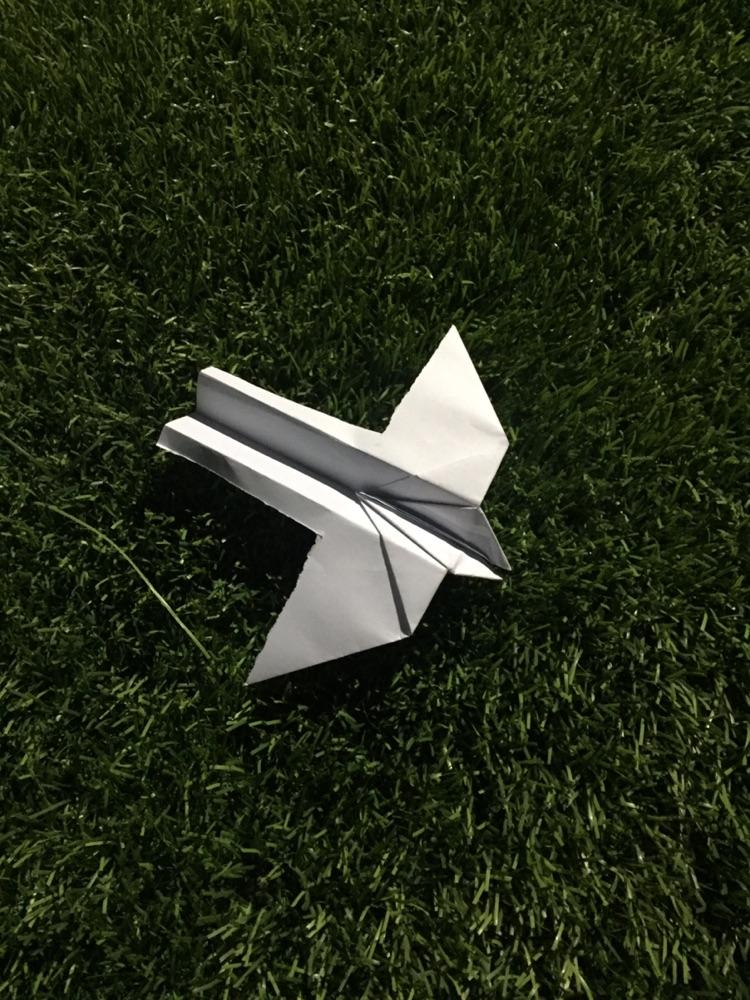 [纸飞机最新版]纸飞机最新版下载