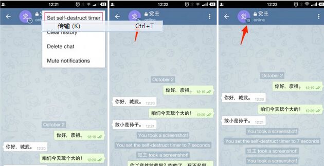 关于telegreat安卓中文版4.9.6下载的信息
