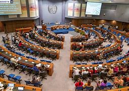 [联合国的predecessor]联合国的国际公务员主要分为____种?