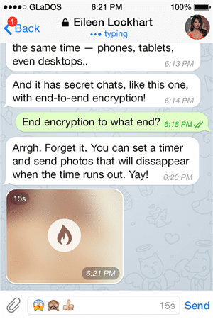 关于Telegram聊天软件下载的信息