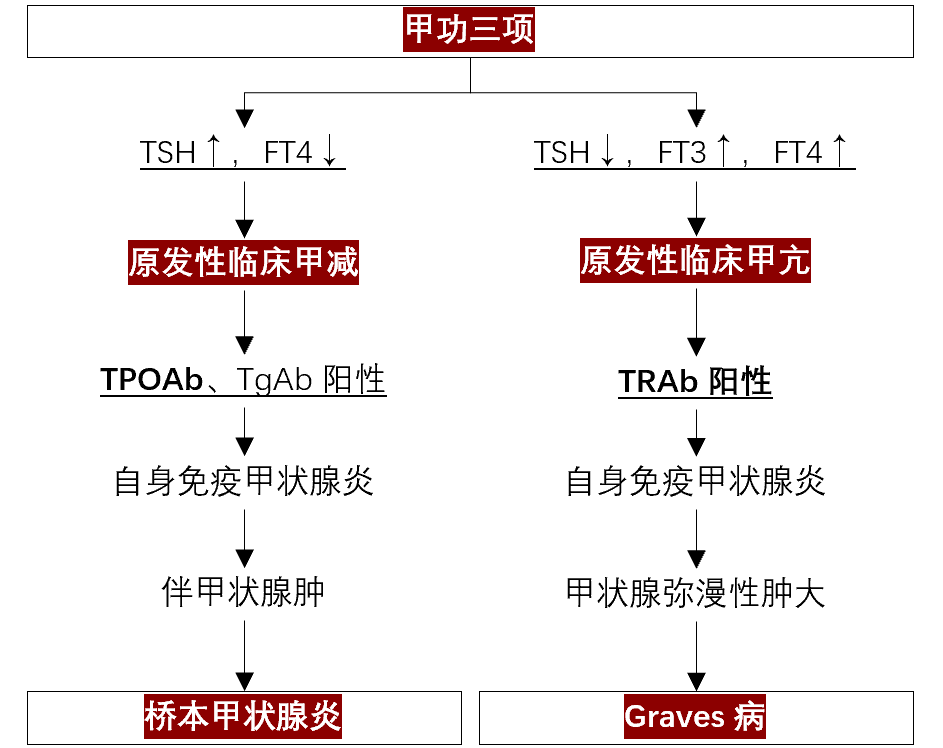 [TG与TGAb]tg与tan的区别