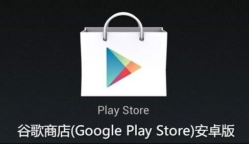 包含playstore视频的词条