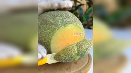 关于小飞机telepal怎么用的信息