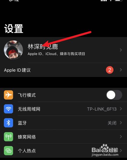 [苹果手机怎么下载飞机中文版]苹果手机怎么下载中文版纸飞机