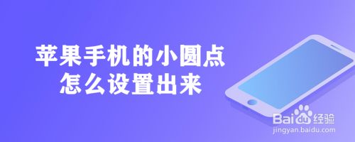 [苹果小飞机怎么设置中文]苹果小飞机怎么设置中文模式