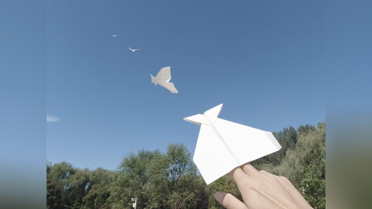 纸飞机视频大全视频的简单介绍