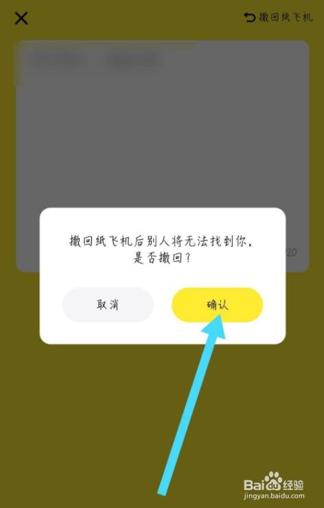 纸飞机软件怎么设置中文-纸飞机软件怎么弄成中文版的