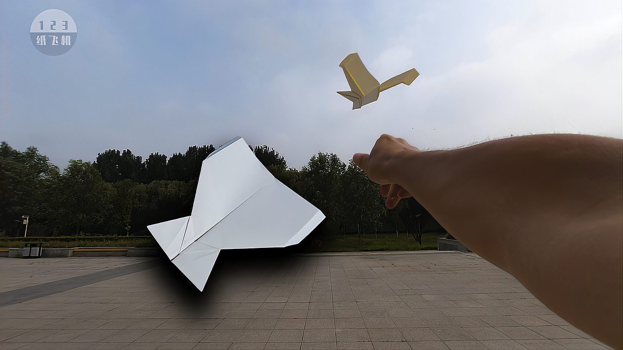 纸飞机封禁了怎么办-纸飞机被禁止公开群里发信息怎么解除