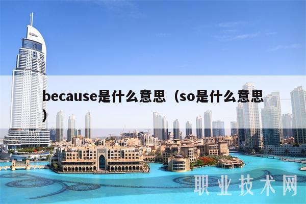 because什么意思中文-because是什么意思翻译中文