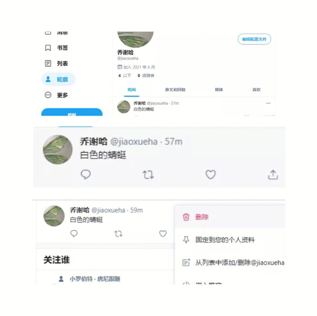 [如何爬墙进入Twitter]如何爬墙进入Instagram