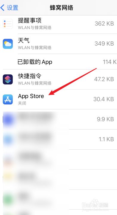 [苹果怎么下载ssr纸飞机]苹果已经下载纸飞机怎么变成中文版的