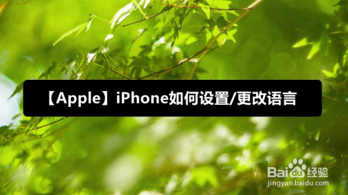 [telegreat苹果手机怎么设置中文]telegreat苹果手机怎么设置中文版