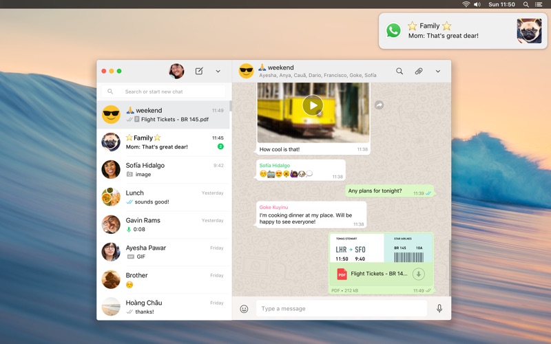 whatsAppappforandroid的简单介绍