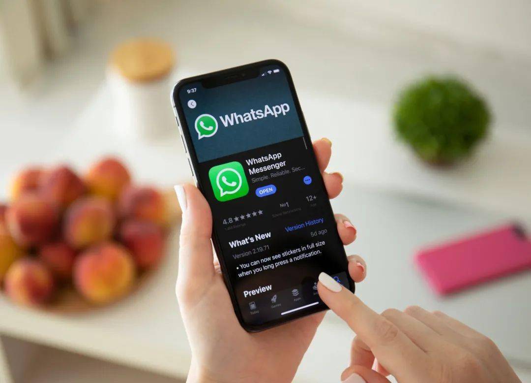 whatsapp下载官方app_whatsapp下载官网安卓手机版