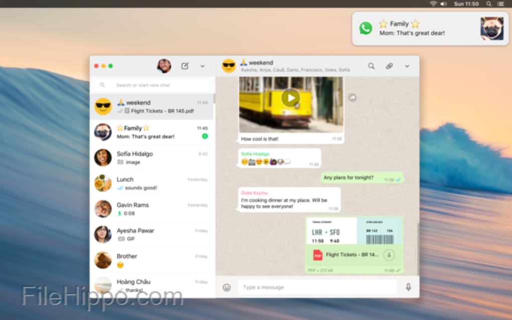 whatsapp最新版本下载安装_whatsapp2020最新版本下载