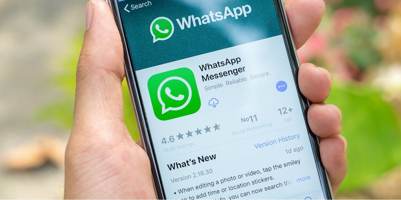 whatsapp客服联系电话多少_whatsapp contacts