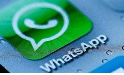 whatsapp官网最新版本_whatsapp官网最新下载安卓