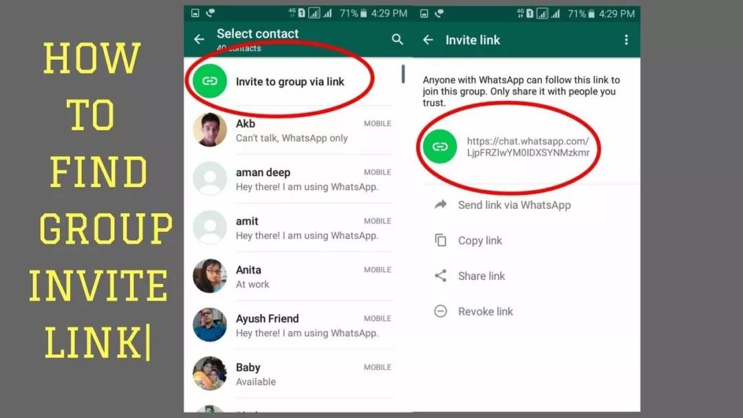 whatsapp客服电话号码_whatsapp contacts