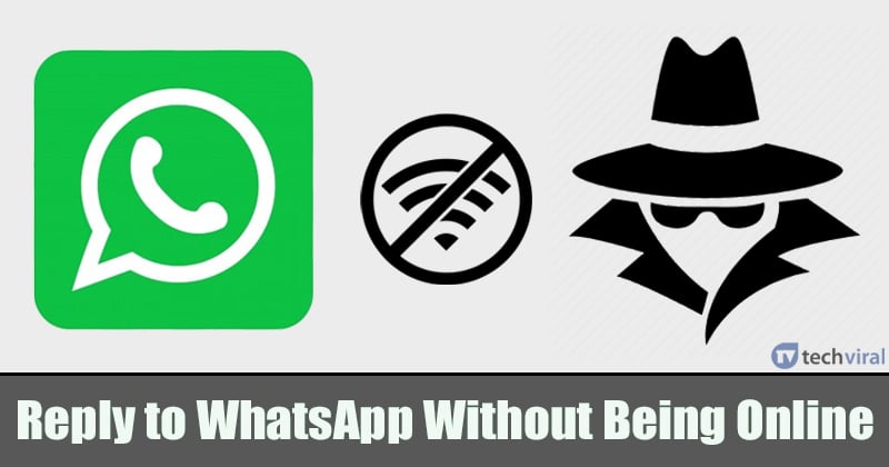 WhatsApp安卓下载官网_whatsapp安卓版官网下载