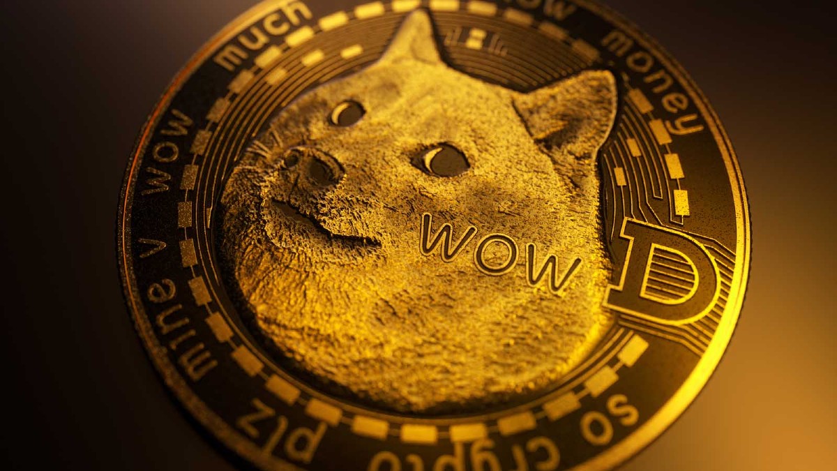 doge币最新消息_马斯克说shib可以涨到一美元