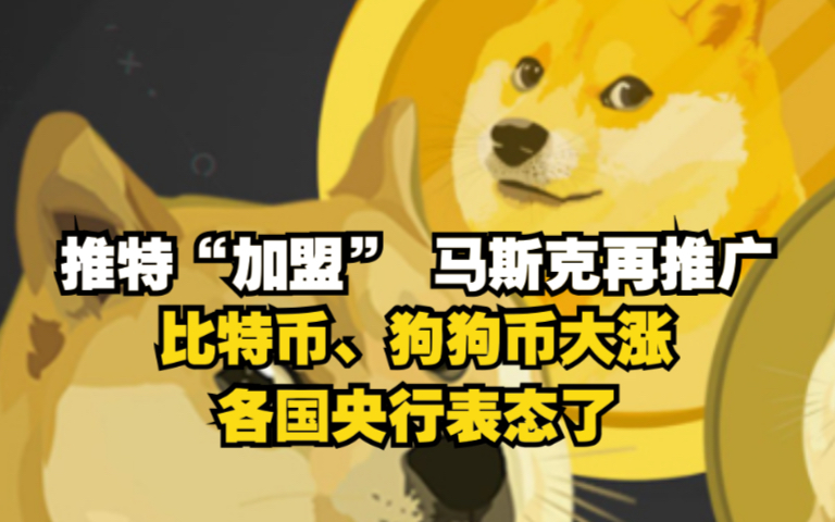 狗狗币为什么涨不上去_狗狗币为什么涨不上去,现在可以买吗