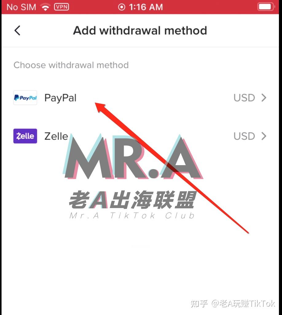 个人paypal怎么提现_个人paypal提现到派安盈