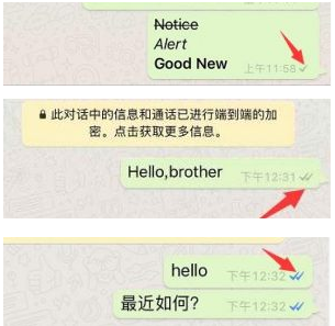 whatsapp怎么读英语发音_whatsapp messenger怎么读