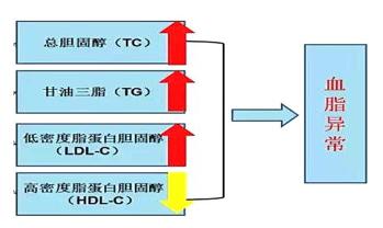 TG的临床意义_点头呼吸的临床意义