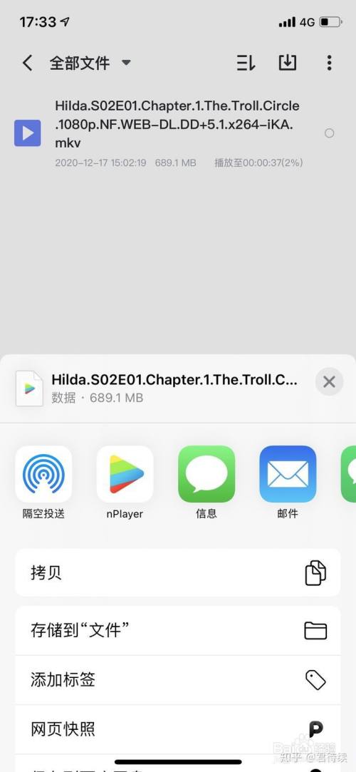飞机下载中文版苹果手机怎么下载_飞机下载中文版苹果手机怎么下载的