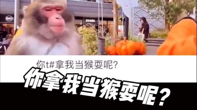 电报猴语音包_电报猴原视频无挡