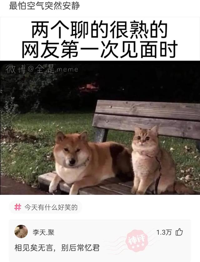 猴子电报原视频_电报猴原视频无挡