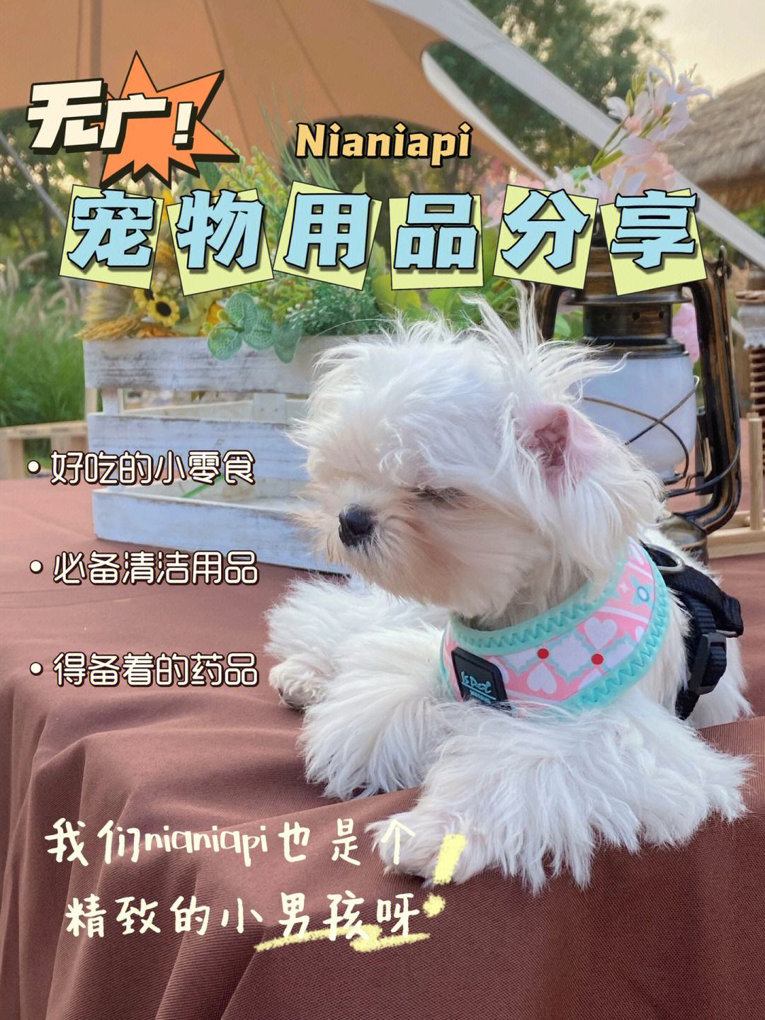 包含电报员nianianiania表情包的词条