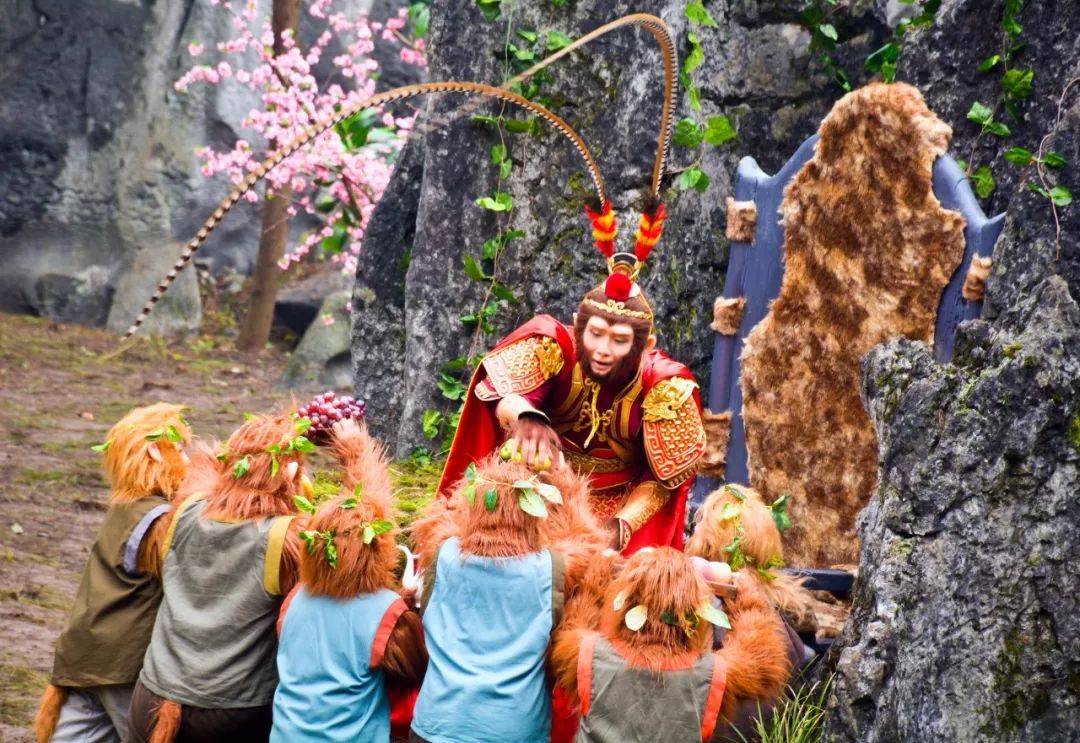 花果山电报猴原视频_花果山电报猴原视频知乎