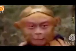 电报猴哥原声_电报猴哥原视频