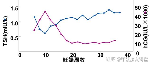 包含TSH和TG升高的词条