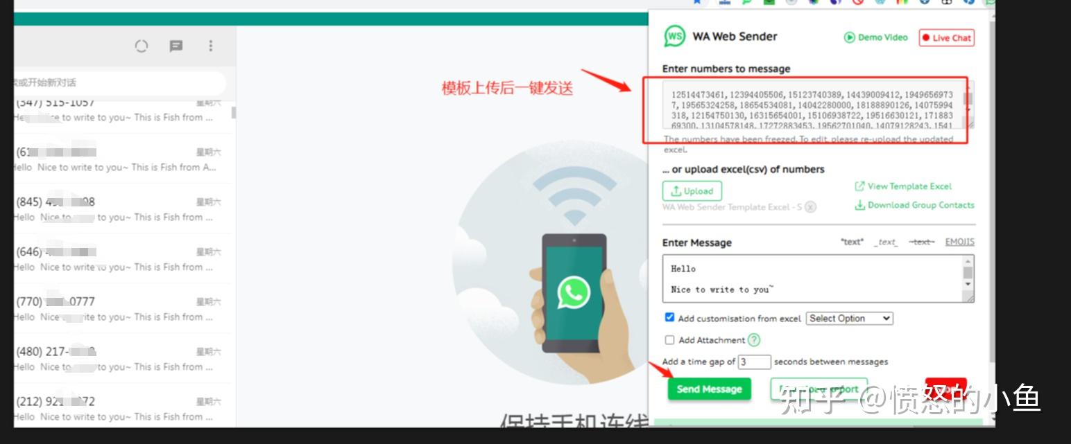 whatsapp国内能否注册_whatsapp在中国怎么注册