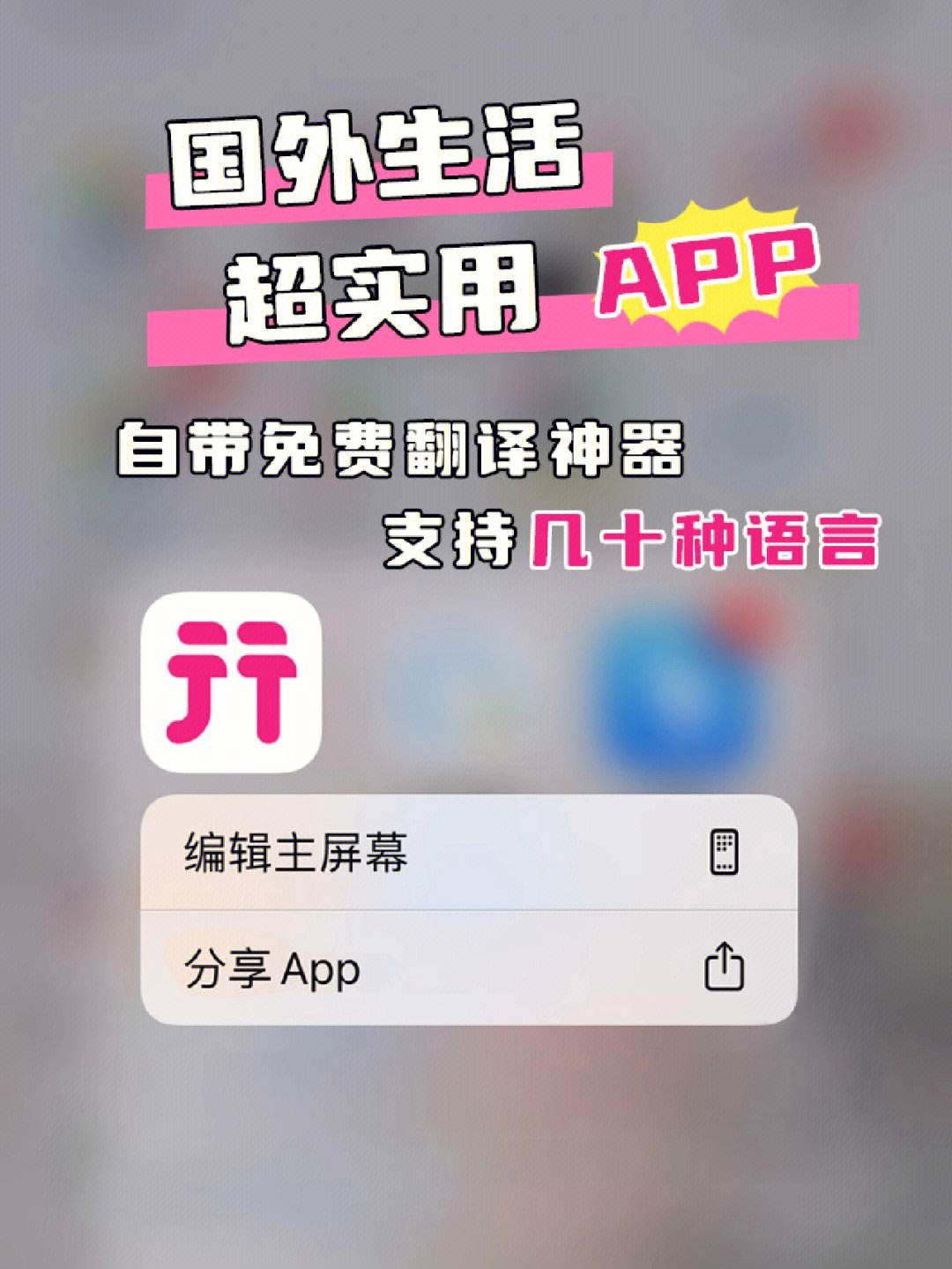 飞机app中文翻译包怎么用_飞机app中文翻译包怎么用的