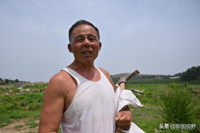 关于电报员周大爷是作者什么人的信息