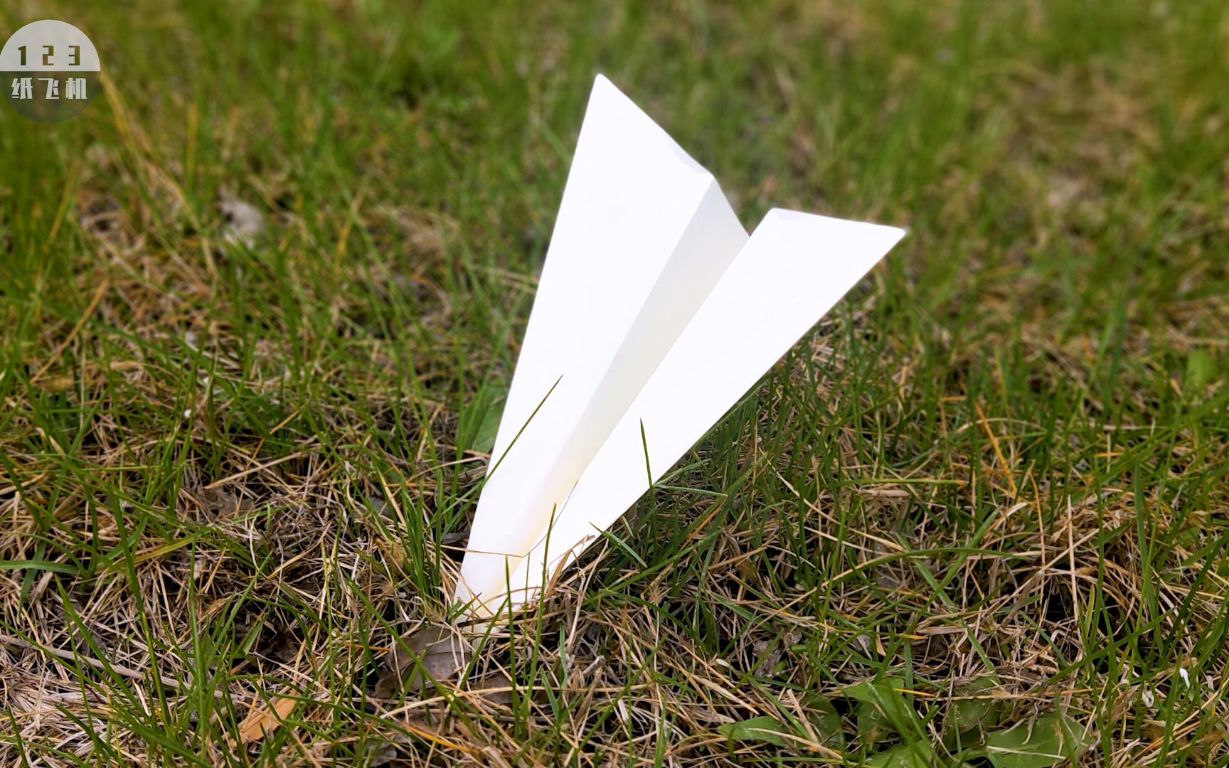 不同类型的纸飞机_不同类型的纸飞机图