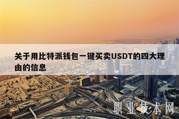 usdt用什么钱包储存_usdt放在什么地方有收益