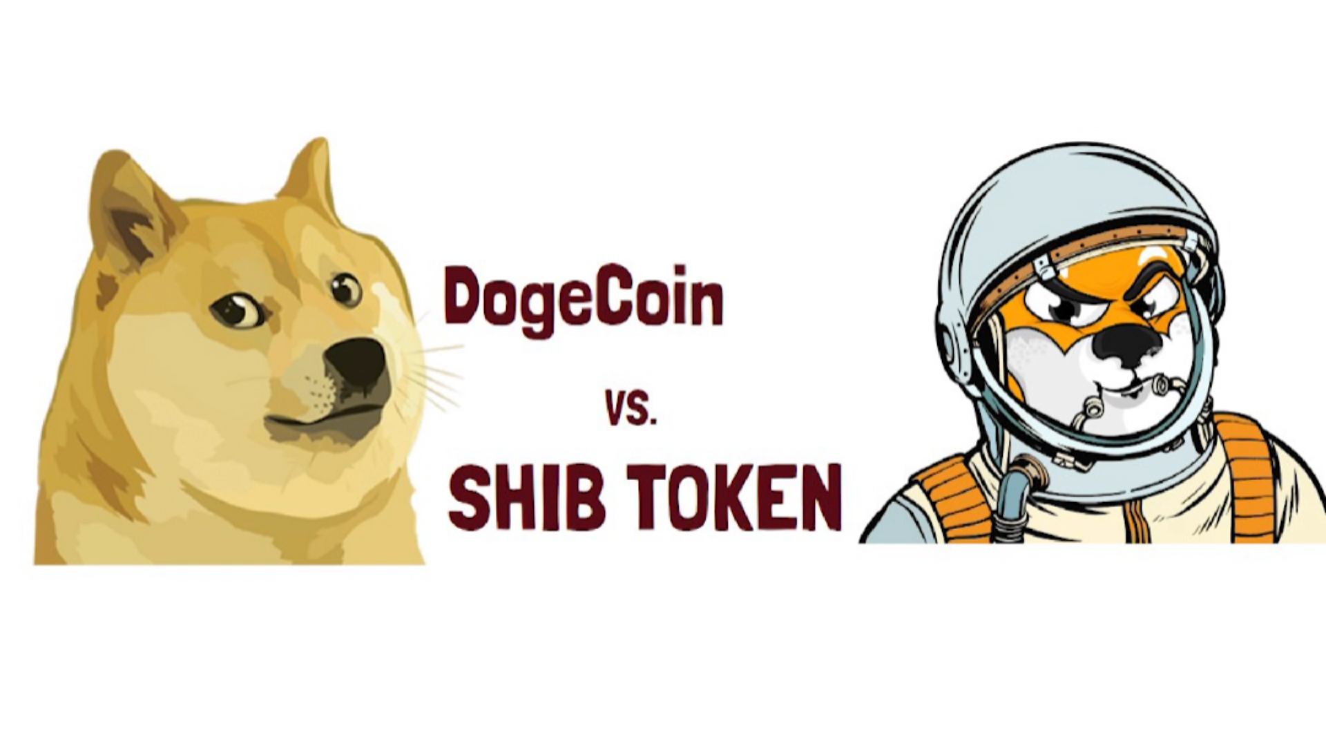 shib_炒币2天赚1000万
