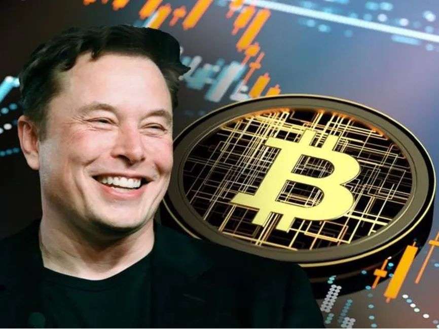 比特币创始人失踪_比特币创始人还活着吗