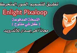 pixaloop1.2.16_pixaloop1216小狐狸