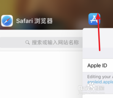 苹果手机怎么把英文网页转成中文_苹果手机怎么把英文网站翻译成中文