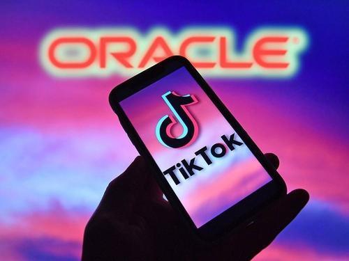 tiktok_tiktok网页版