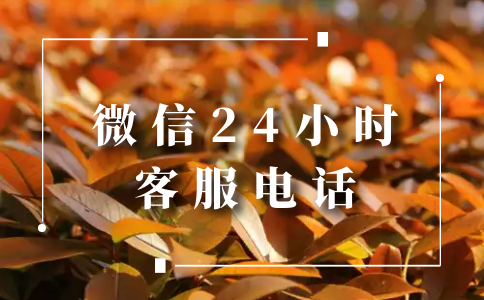 plus钱包官方网站的客服在哪_plus钱包官方网站的客服在哪里