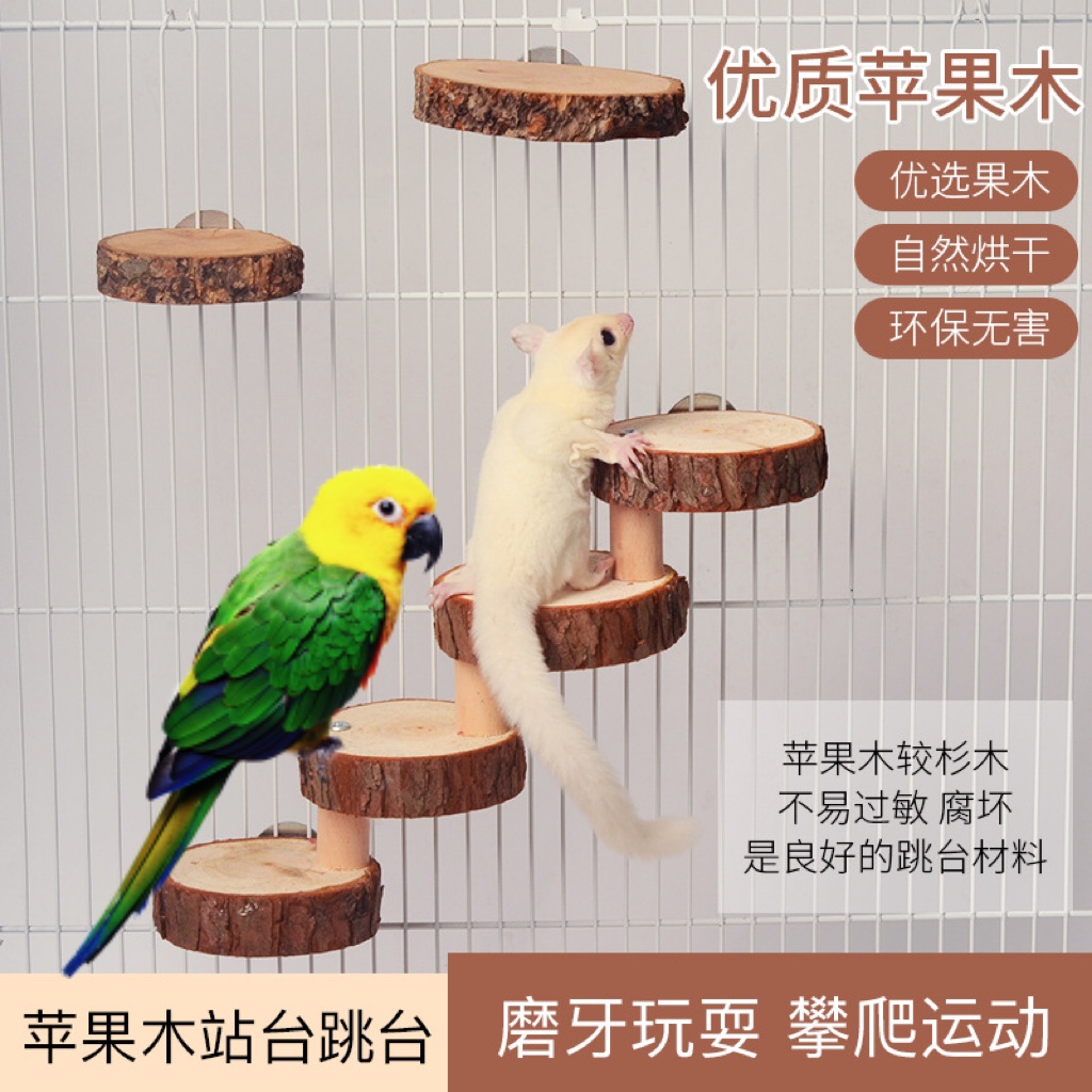 苹果手机如何用梯子_iphone怎么翻去外网