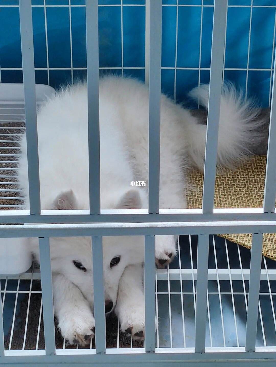 小狐狸接受收一直不到账_小狐狸钱包资金能找回来吗