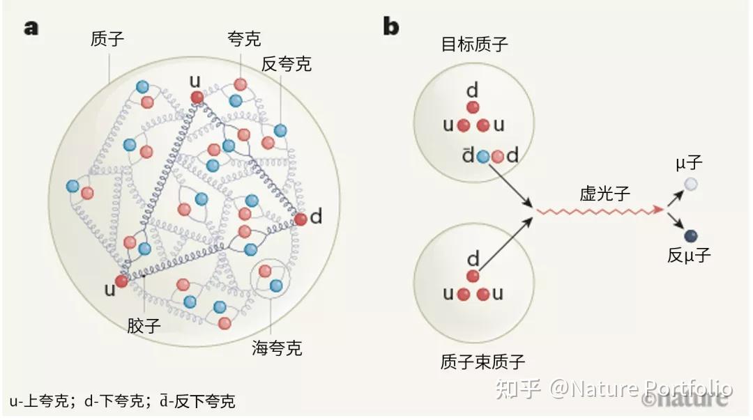 夸克_夸克怎么打开隐藏大家都懂的网站