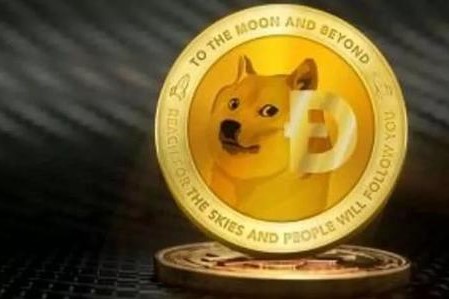 狗狗币下次牛市_2024年要囤的低估币